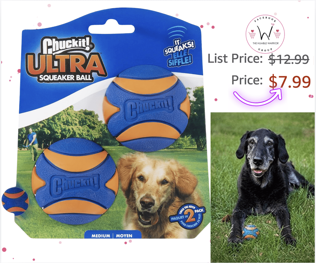 Chuckit! Ultra Squeaker Balls Two Pack!